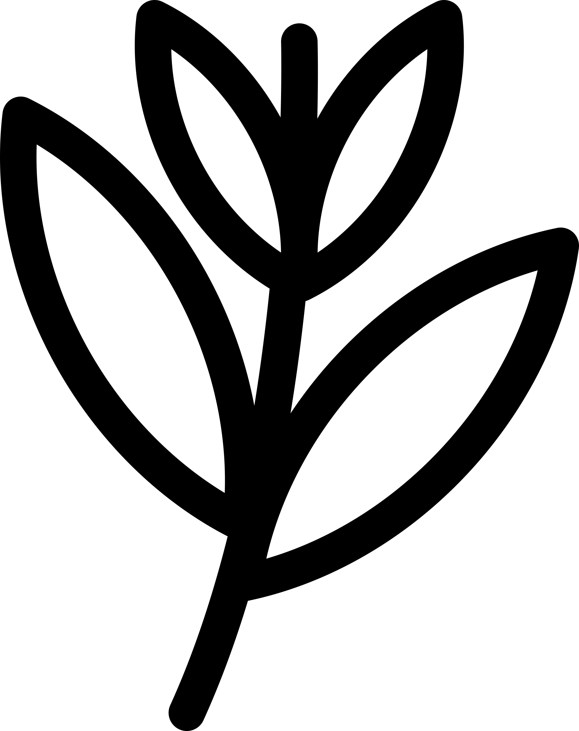 Black Willow Laser Cut Svg File Free Vectors